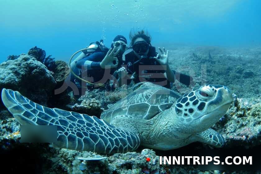 Gili introductory scuba diving — photo 21