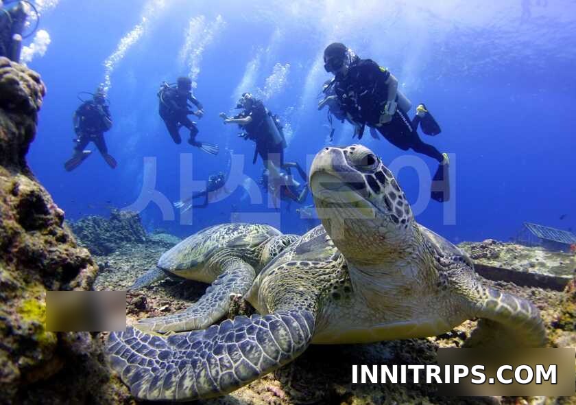 Gili introductory scuba diving — photo 23