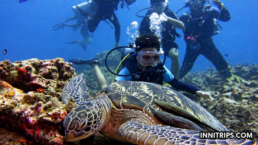 Gili introductory scuba diving — photo 27