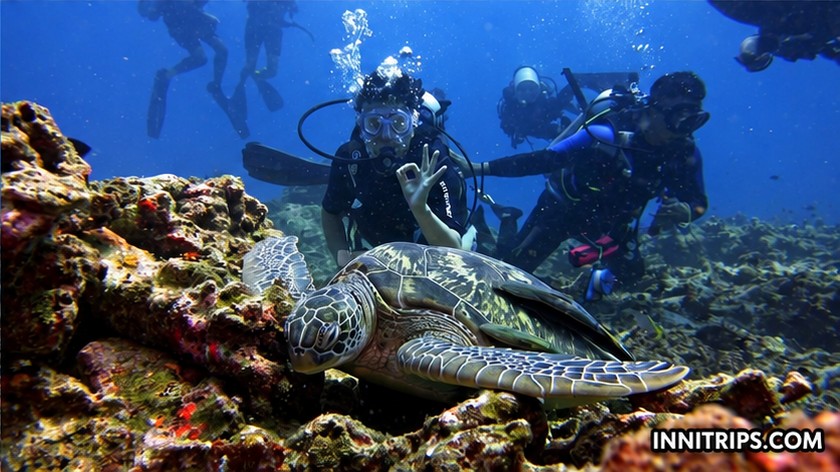 Gili introductory scuba diving — photo 28