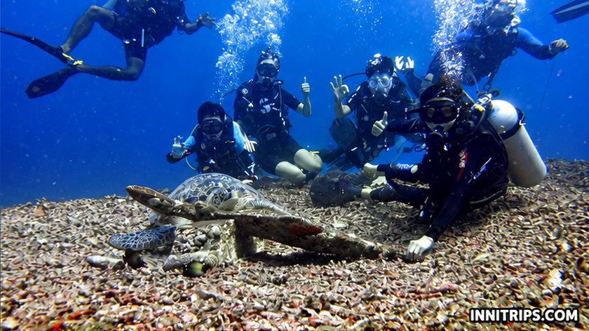 Gili introductory scuba diving — photo 30