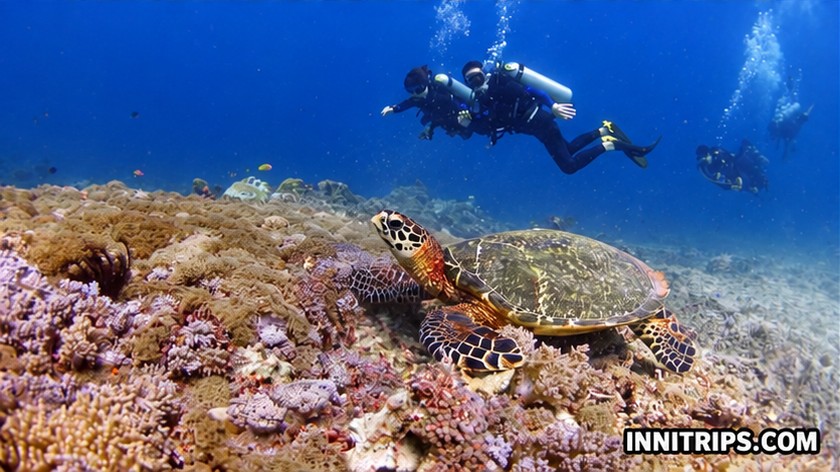 Gili introductory scuba diving — photo 36