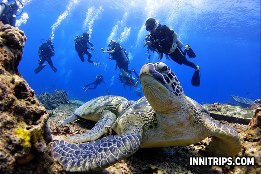 Gili introductory scuba diving — photo 38