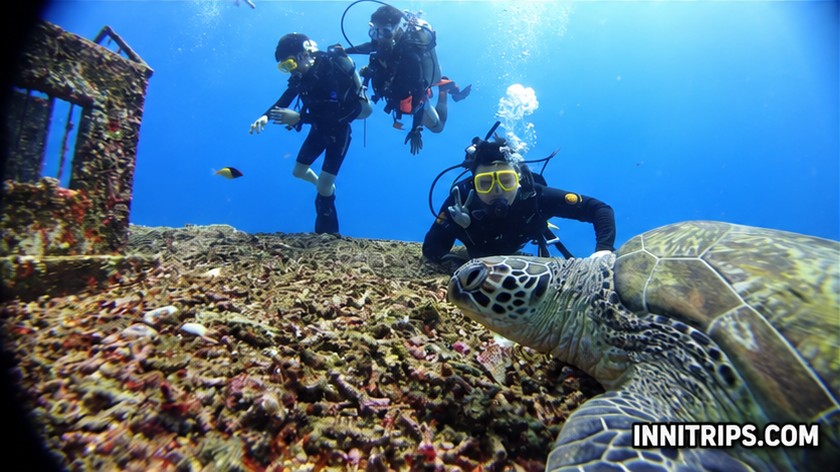 Gili introductory scuba diving — photo 40