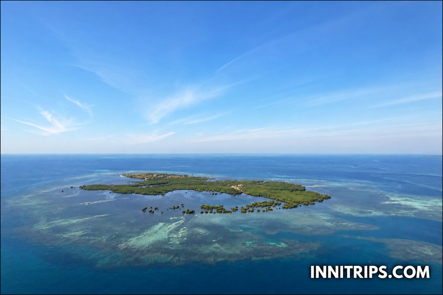 Gili Petagan mangroves · photo 8