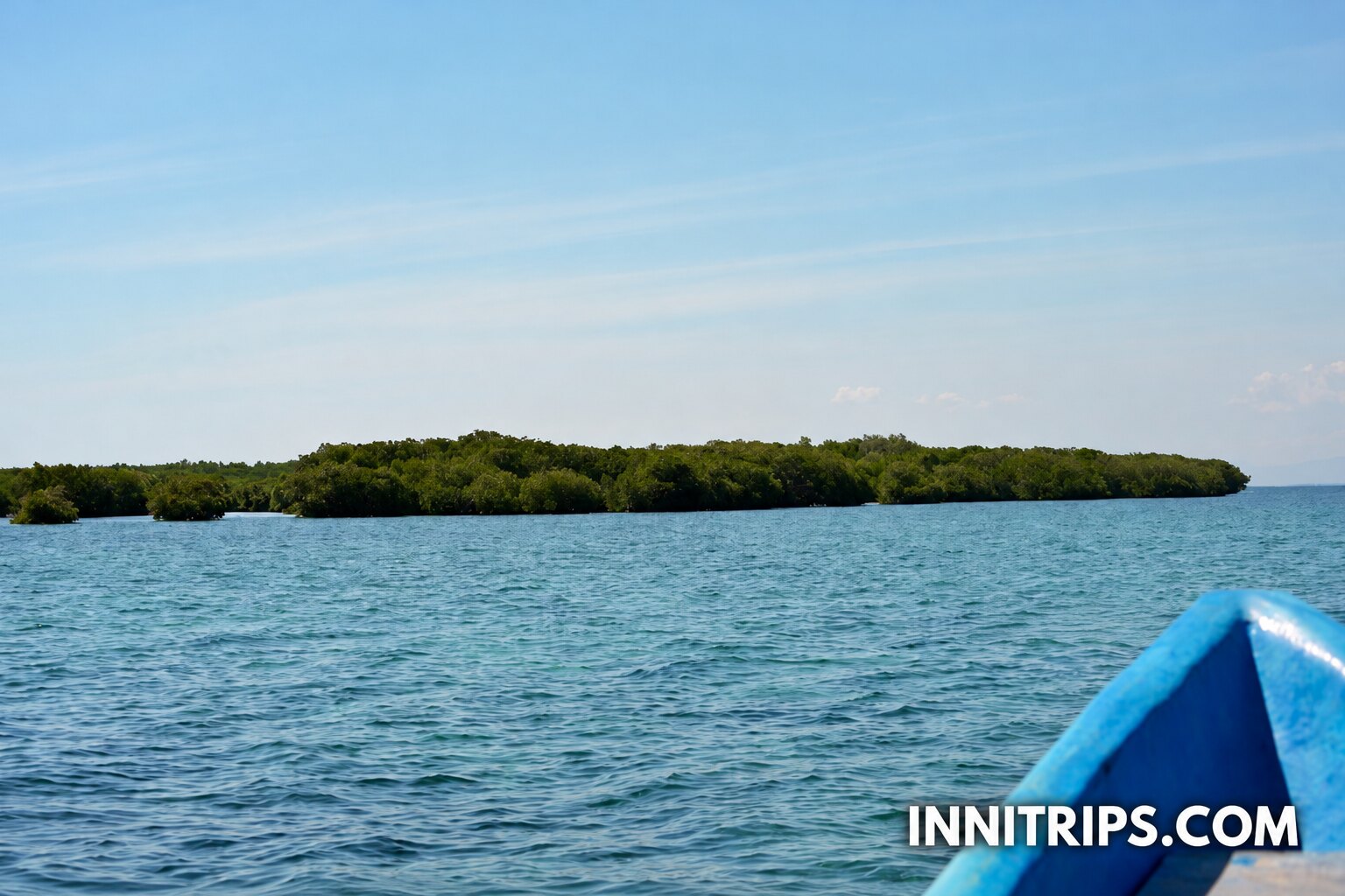 Gili Petagan mangroves · photo 9