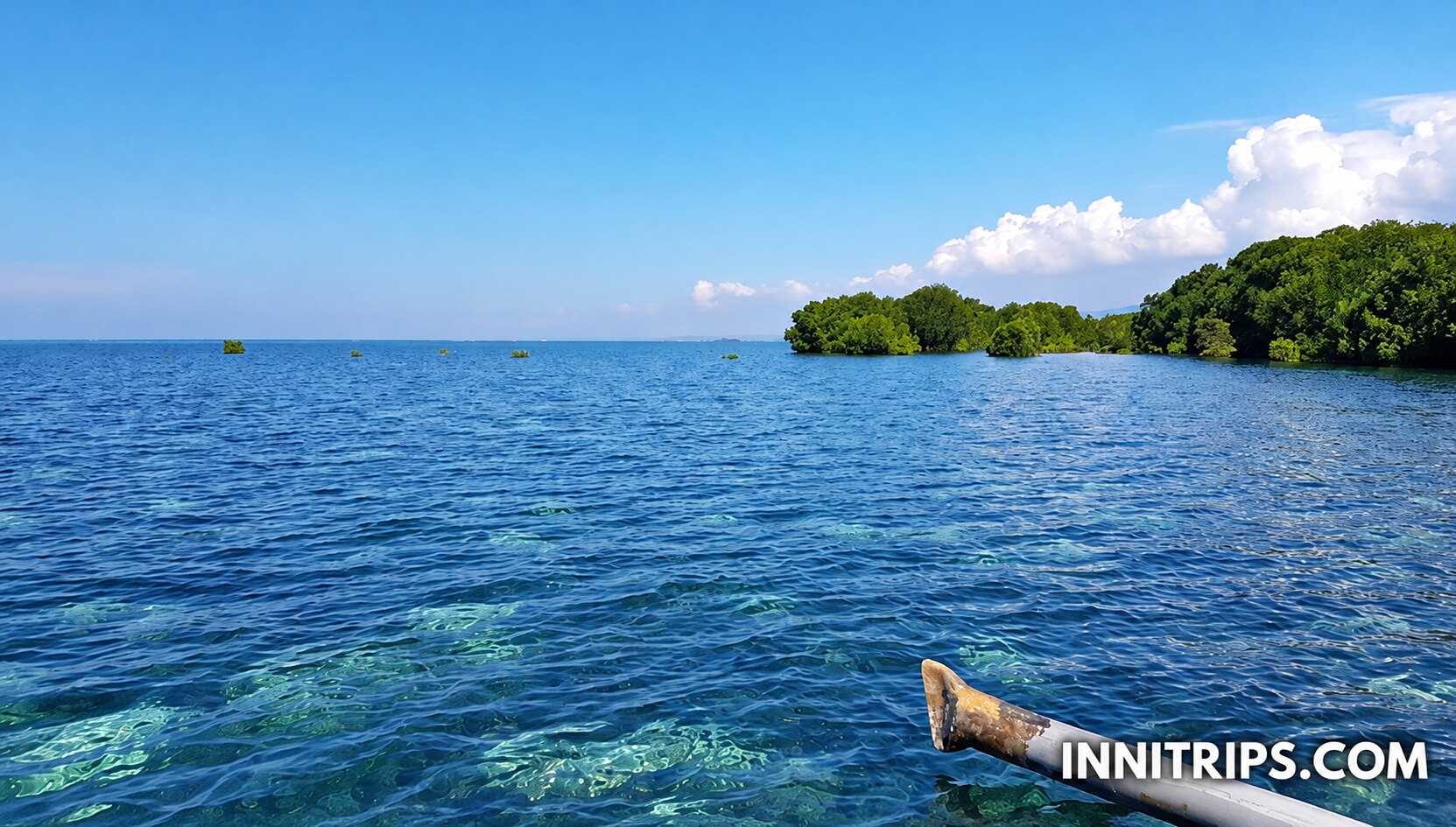 Gili Petagan mangroves · photo 11