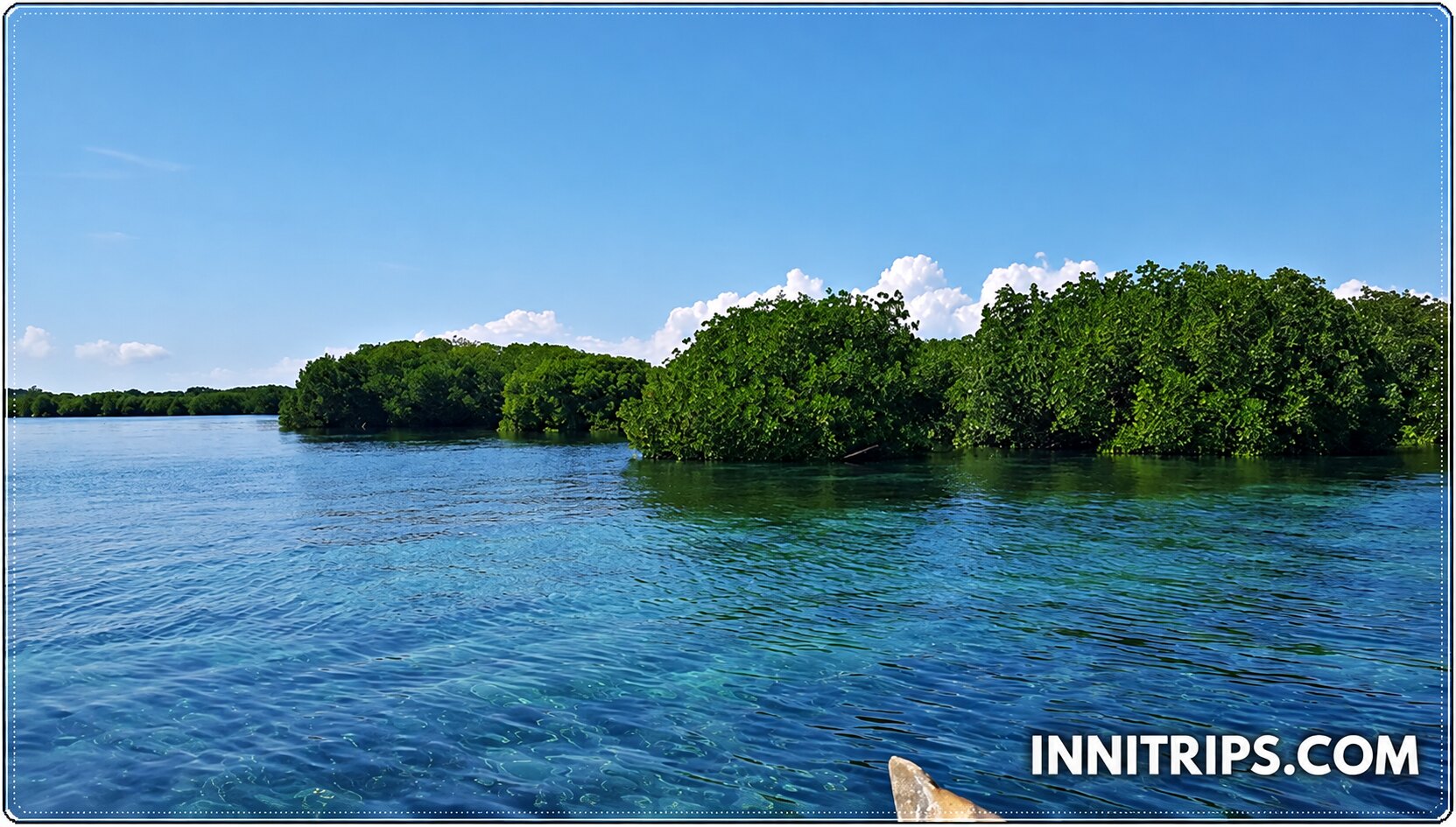 Gili Petagan mangroves · photo 12