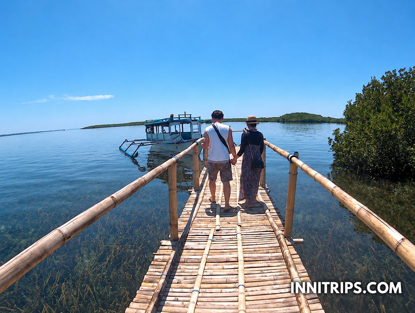 Gili Petagan mangroves · photo 15