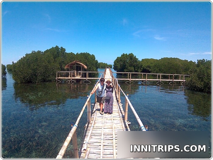 Gili Petagan mangroves · photo 16