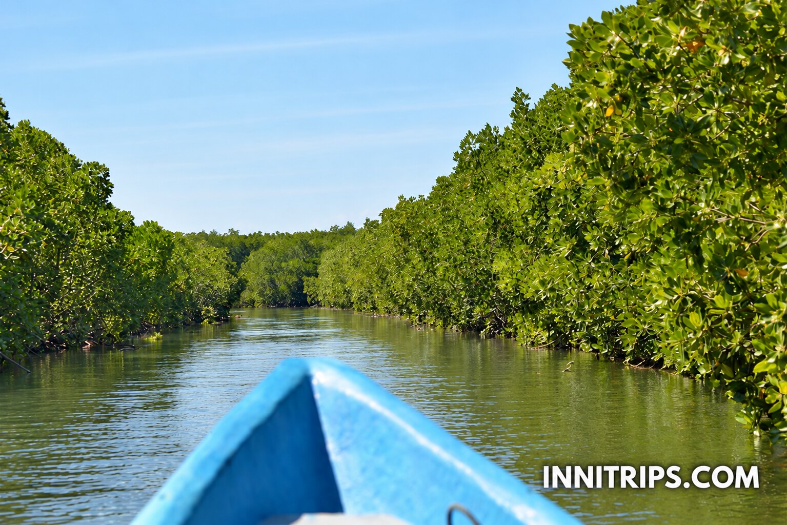 Gili Petagan mangroves · photo 17