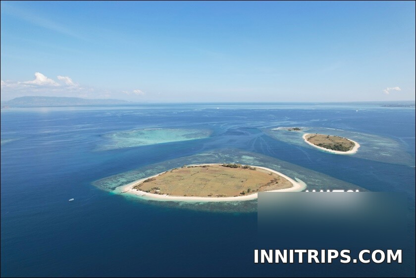 Gili Petagan mangroves · photo 18