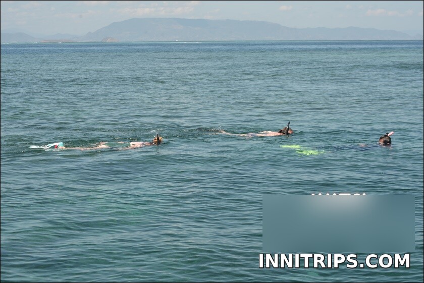 Gili Bidara · Tropical fish and snorkeling · photo 23