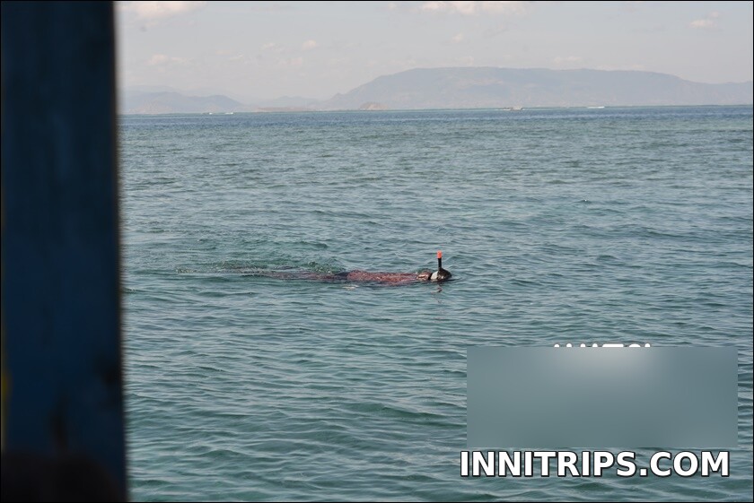 Gili Bidara · Tropical fish and snorkeling · photo 25