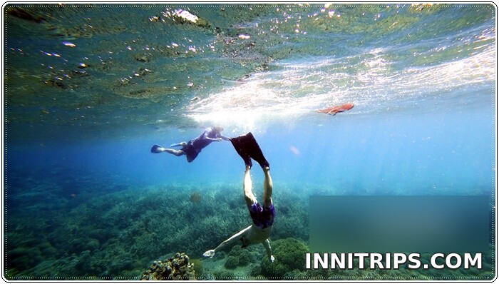 Gili Bidara · Tropical fish and snorkeling · photo 26