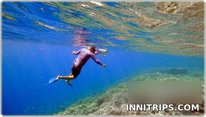 Gili Bidara · Tropical fish and snorkeling · photo 28