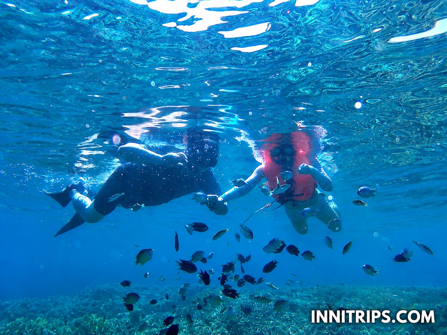 Gili Bidara · Tropical fish and snorkeling · photo 32