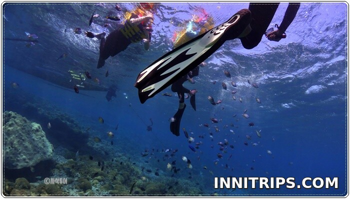 Gili Kondo · Snorkeling · photo 36