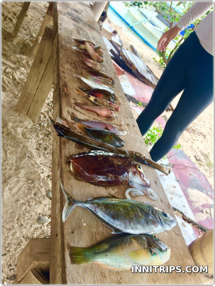 Beachfront BBQ lunch · photo 49
