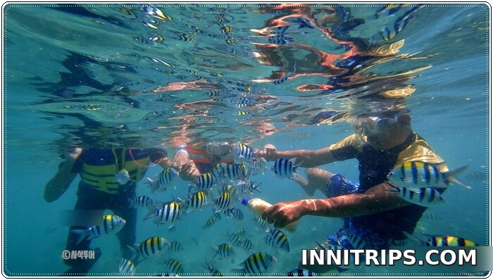 Snorkeling at Gili Nanggu — photo 1