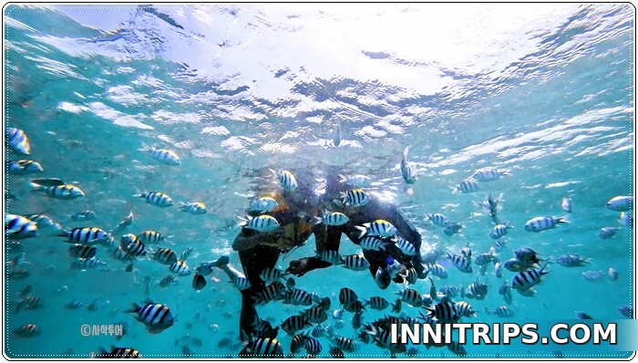 Snorkeling at Gili Nanggu — photo 2