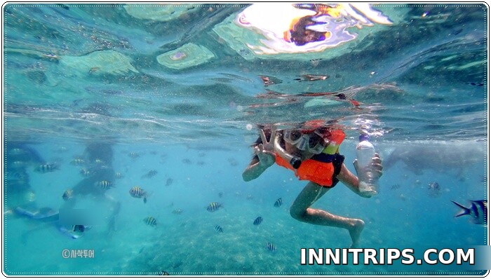 Snorkeling at Gili Nanggu — photo 3