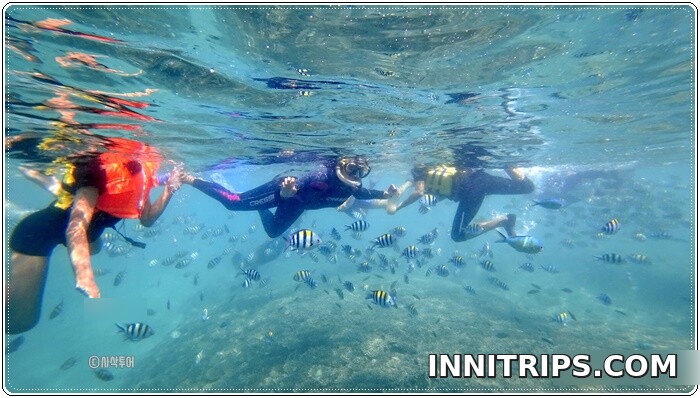Snorkeling at Gili Nanggu — photo 4