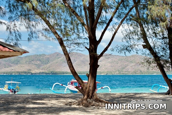 Fish around Gili Nanggu — photo 2