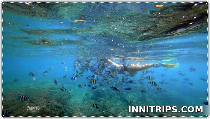 Snorkeling around Gili Sudak — photo 2