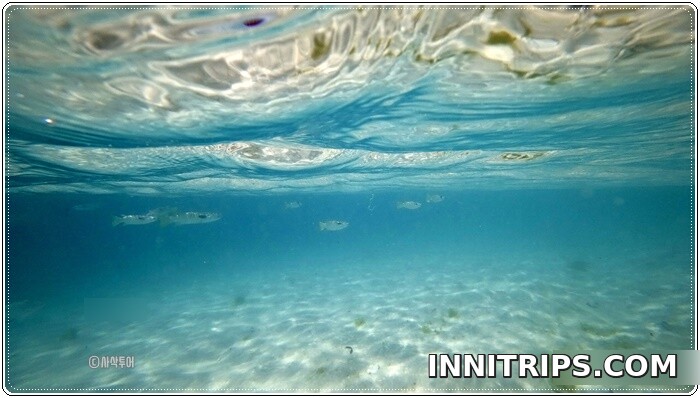 Snorkeling around Gili Sudak — photo 5