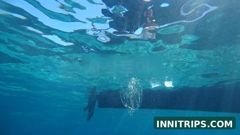 Get ready for snorkeling · photo 8