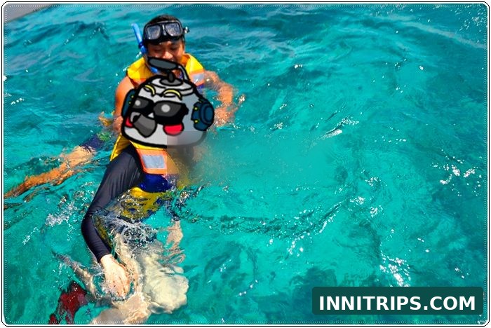 First stop · Turtle snorkeling · photo 10