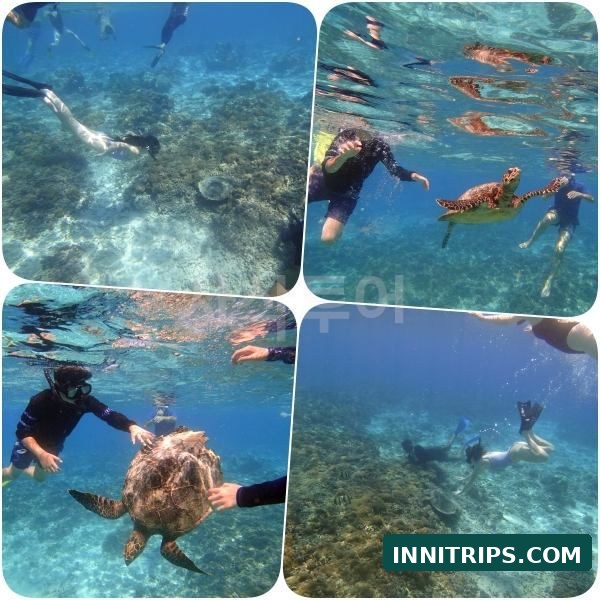 First stop · Turtle snorkeling · photo 13
