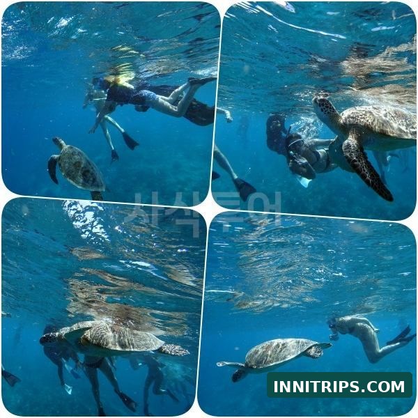 First stop · Turtle snorkeling · photo 19