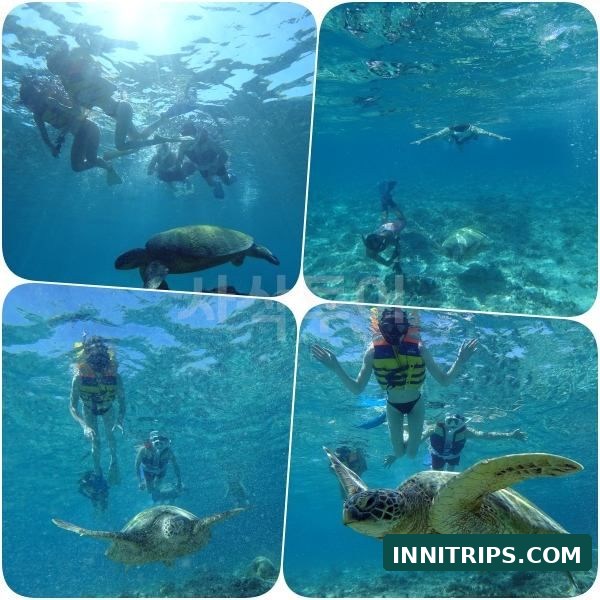 First stop · Turtle snorkeling · photo 20