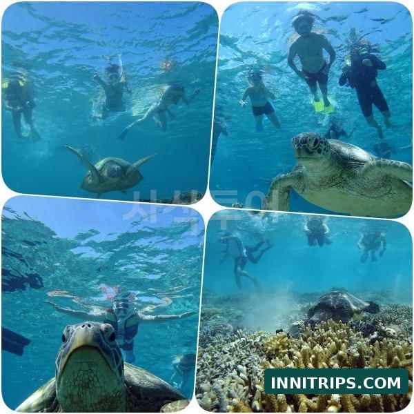 First stop · Turtle snorkeling · photo 22