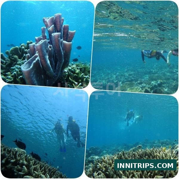 Third stop · Gili Indah coral area · photo 32