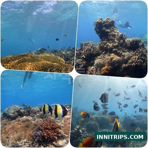 Third stop · Gili Indah coral area · photo 33