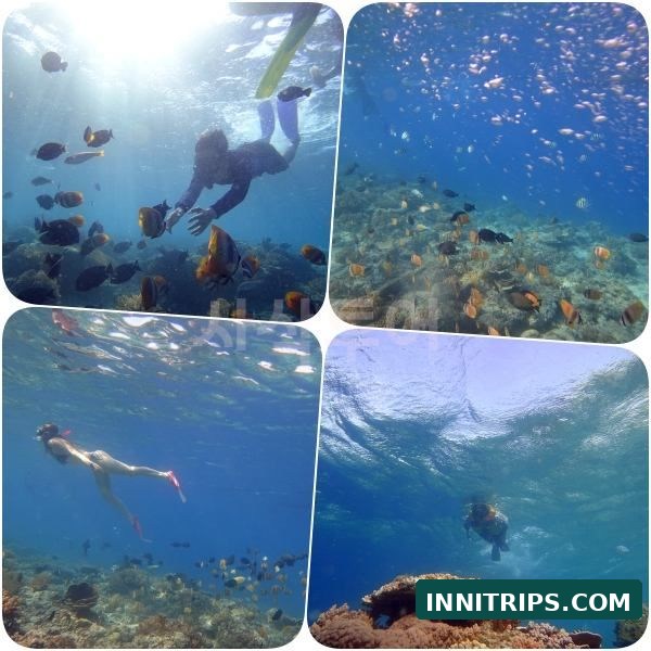 Third stop · Gili Indah coral area · photo 34