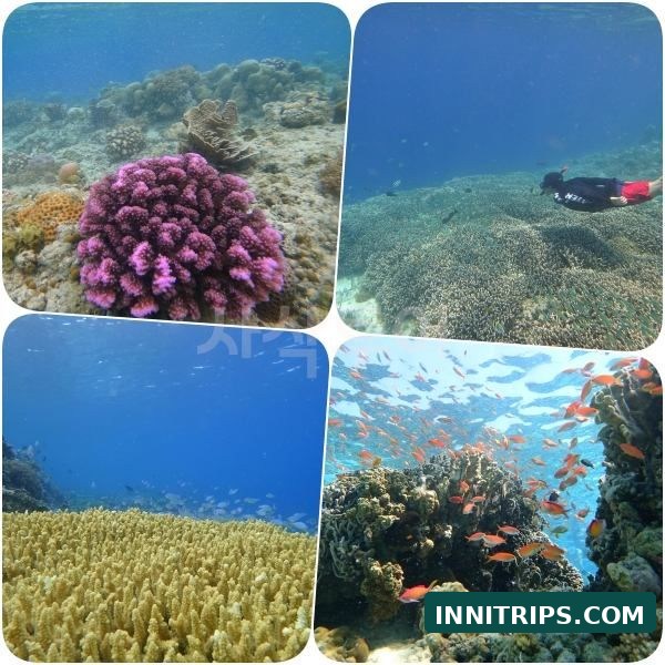 Third stop · Gili Indah coral area · photo 35