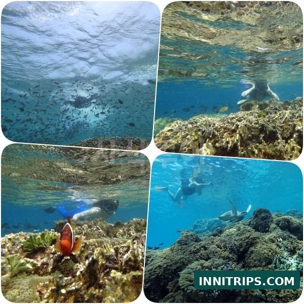 Third stop · Gili Indah coral area · photo 36