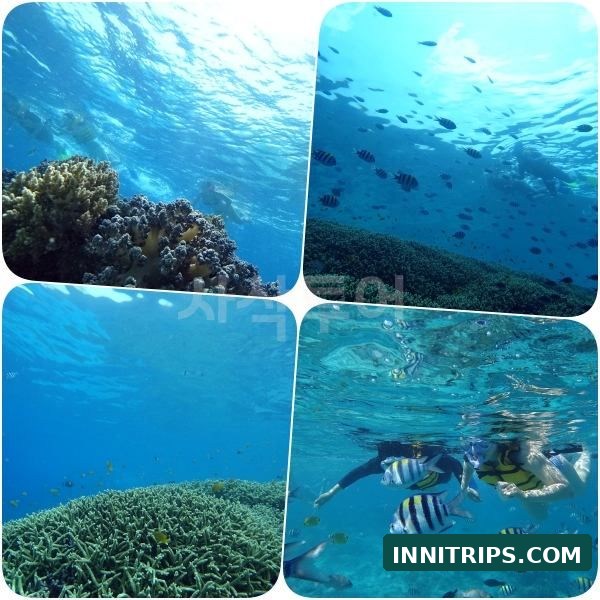Third stop · Gili Indah coral area · photo 37