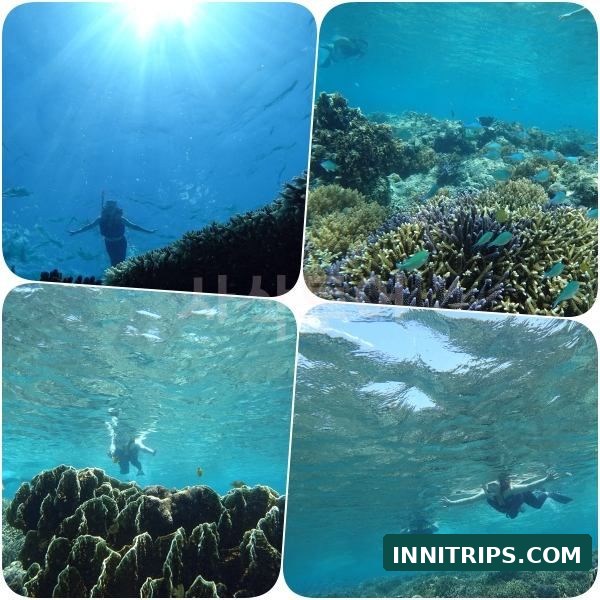 Third stop · Gili Indah coral area · photo 38