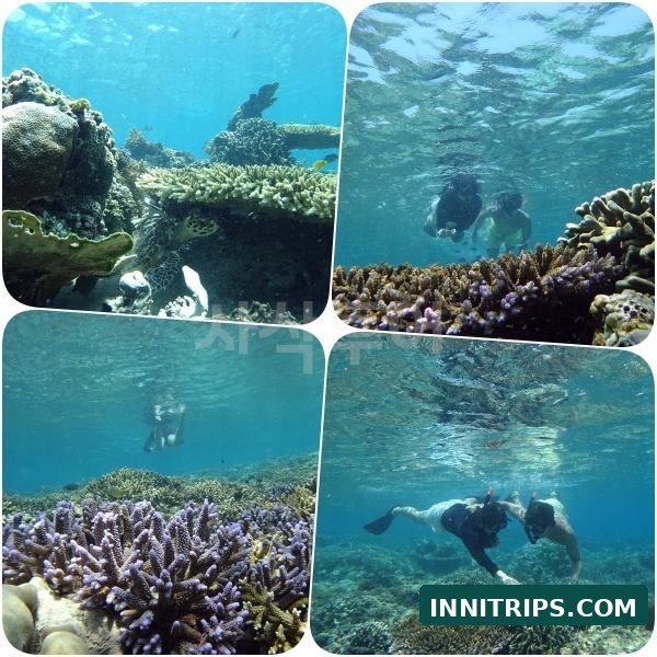 Third stop · Gili Indah coral area · photo 39