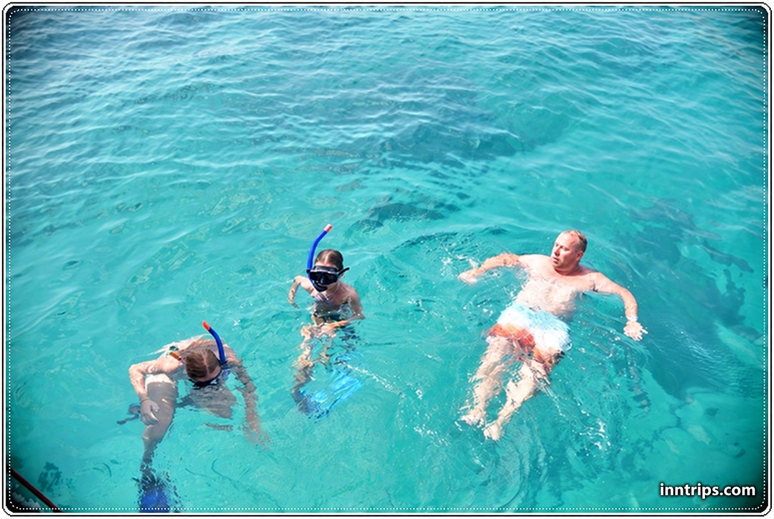 Snorkel around the reef