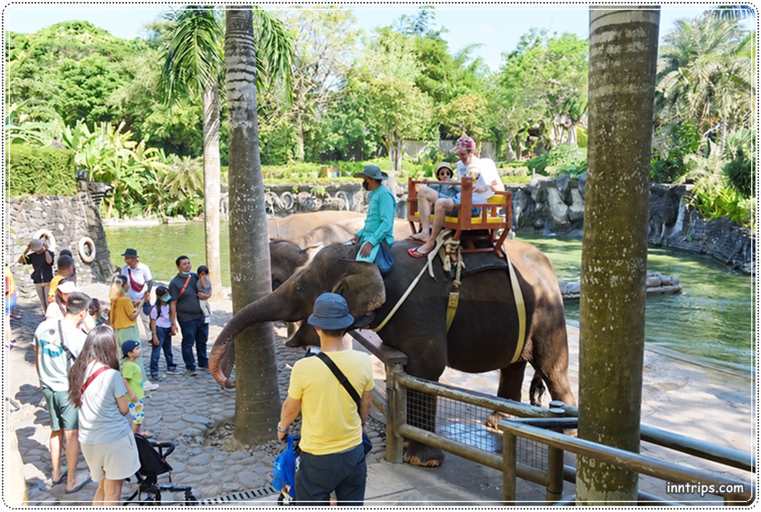 Elephant-ride package