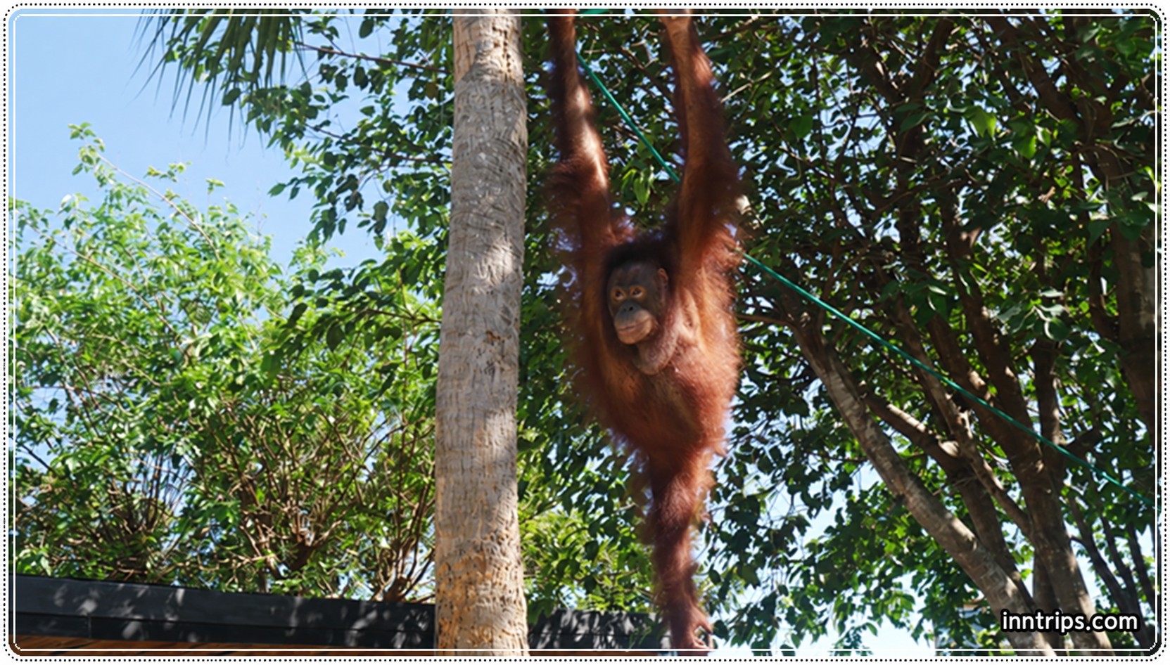 Discover the animal habitats