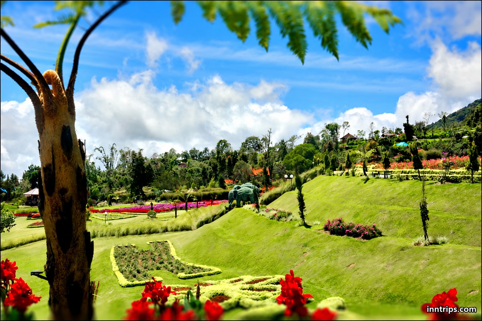 Start among colourful hillside gardens