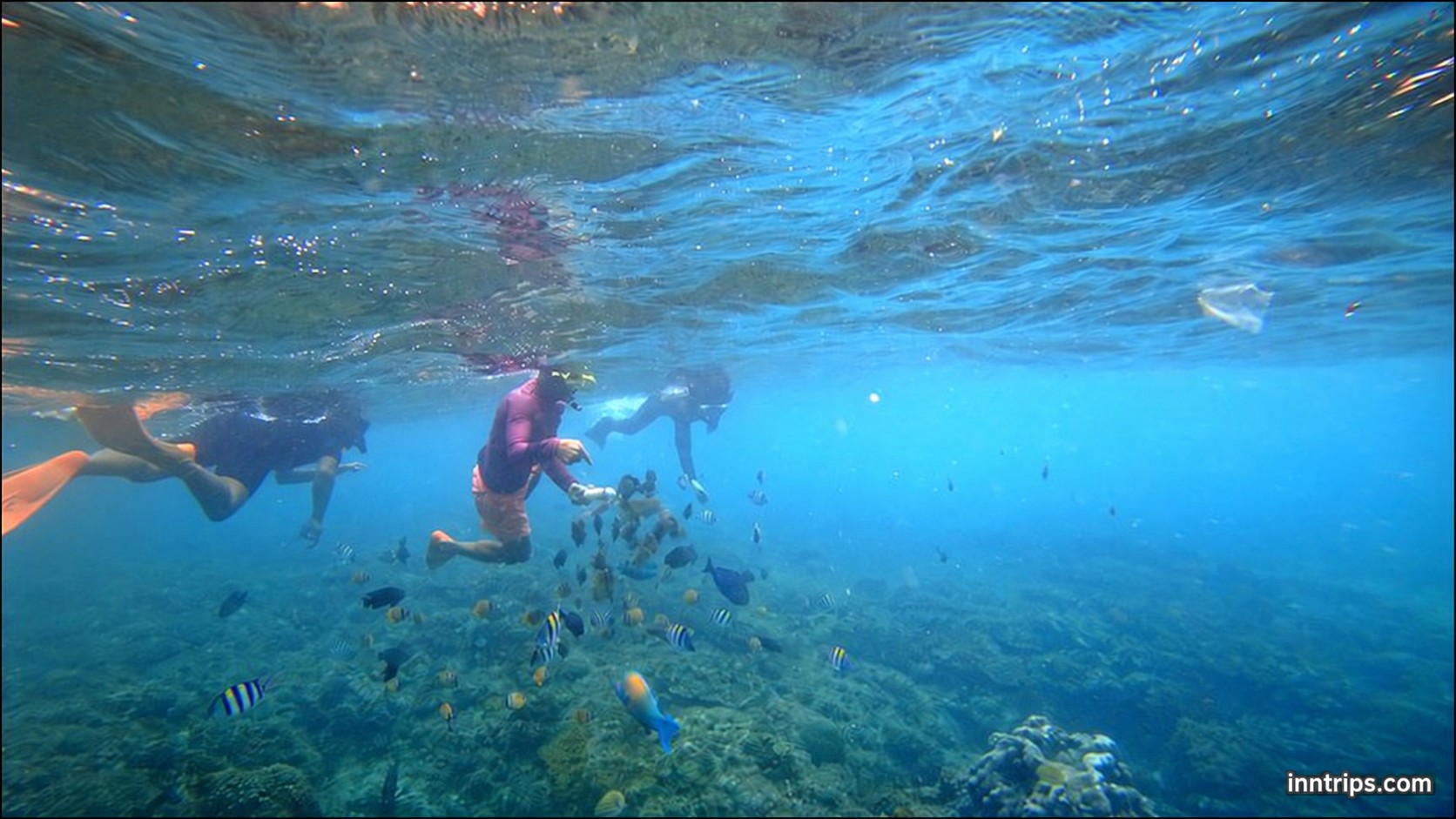 Discover the underwater scenery