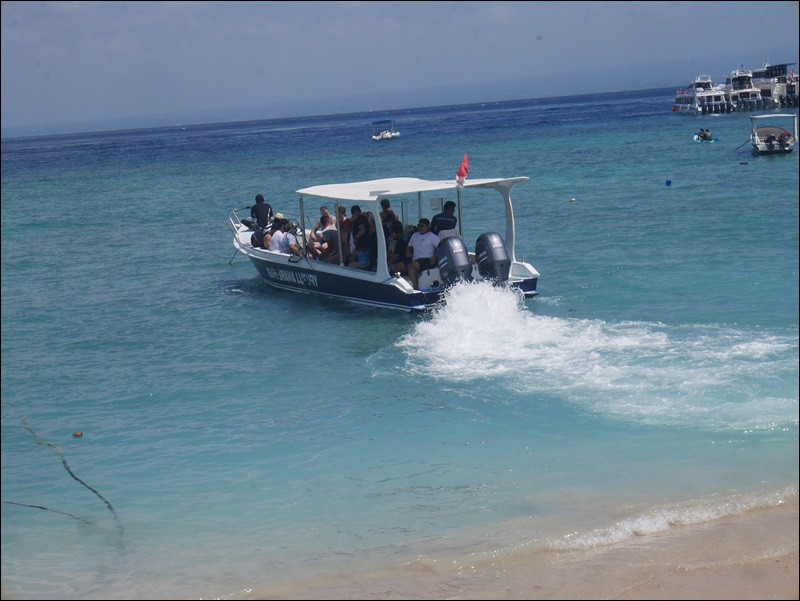 Board the snorkeling boat